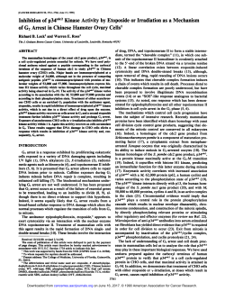 Inhibition of p34cdc2Kinase Activity by