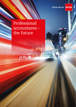 Professional accountants &ndash; the future