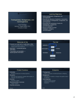 Teratogenesis, Mutagenesis, and Carcinogenesis