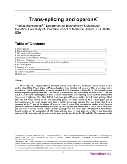 Trans-splicing and operons