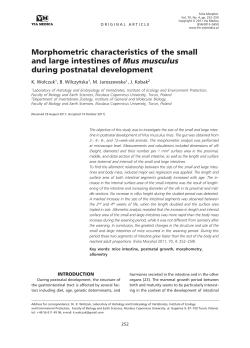 Morphometric characteristics of the small and large intestines of Mus