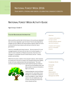 National Forest Week Activity Guide