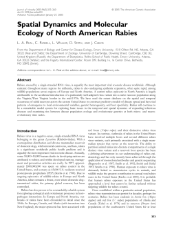Spatial Dynamics and Molecular Ecology of North American Rabies