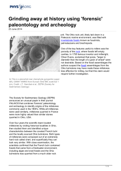 Grinding away at history using `forensic` paleontology and