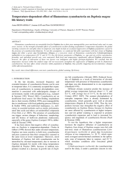 Temperature-dependent effect of filamentous cyanobacteria on