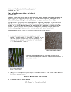 Spring Has Sprung and Love is in the Air