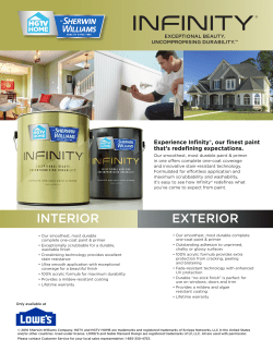 INFINITY &reg; - Pro Paint Experience