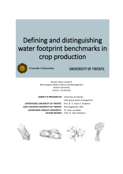 Final Master Thesis Jessica de Koning 2
