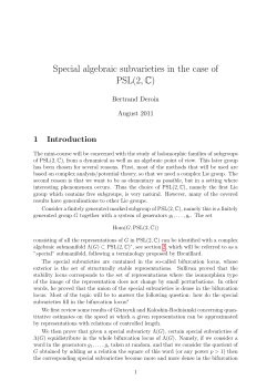 Special algebraic subvarieties in the case of PSL(2,C)