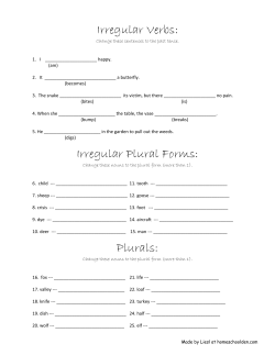 Irregular Verbs: Irregular Plural Forms: Plurals: