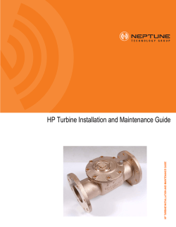 IM HP Turbine.book - Neptune Technology Group