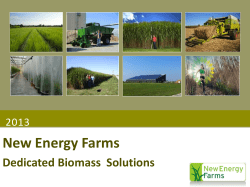 New Energy Farms - Iowa State University