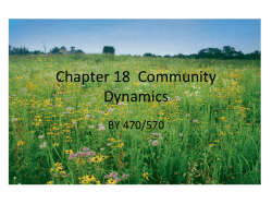 File - Julie B. Schram