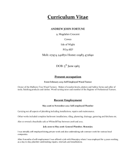Curriculum Vitae - the Crafts Council