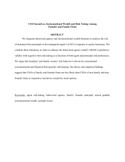 CEO Incentives, Socioemotional Wealth and Risk Taking Among