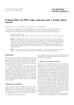 Probing DNA and RNA single molecules with a double optical tweezer