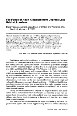 Fall Foods of Adult Alligators from Cypress Lake Habitat, Lousiana