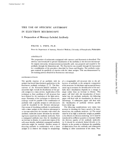 THE USE OF SPECIFIC ANTIBODY IN ELECTRON MICROSCOPY I