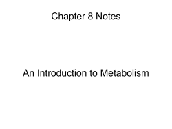 Chapter 8 Notes An Introduction to Metabolism
