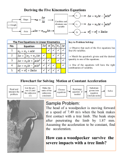 Sample Problem: How can a woodpecker survive the severe