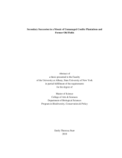 Secondary Succession in a Mosaic of Unmanaged Conifer