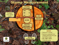 Stump Measurement