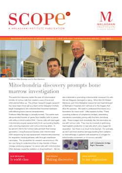 Mitochondria discovery prompts bone marrow investigation