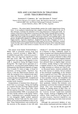 SIZE AND LOCOMOTION IN TERATORNS (AVES