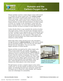 Humans and the Carbon