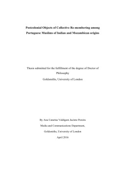 Catarina Pereira`s PhD - Goldsmiths Research Online