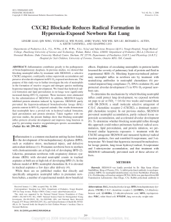 CXCR2 Blockade Reduces Radical Formation in Hyperoxia
