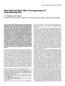 Place Cells and Silent Cells in the Hippocampus of