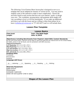 American Bald Eagle - Eastern Shore Literacy Council