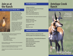 Our Brochure - Antelope Creek Ranch