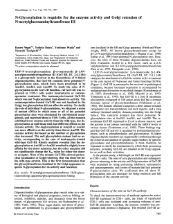 N-Glycosylation is requisite for the enzyme