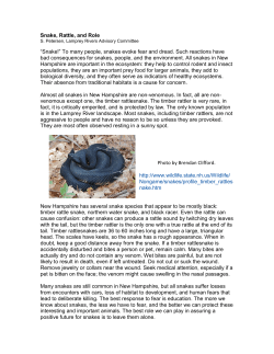 Snake, Rattle, and Role &ldquo;Snake!&rdquo; To many people, snakes evoke