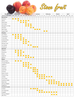 Month November December January February