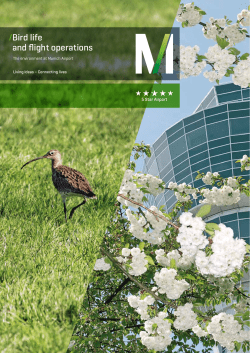 Bird life and flight operations