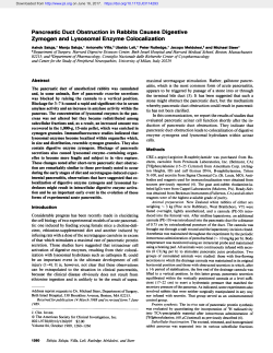 Pancreatic Duct Obstruction in Rabbits Causes Digestive Zymogen