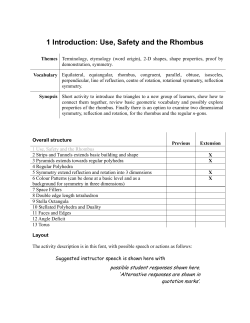 1 Introduction: Use, Safety and the Rhombus
