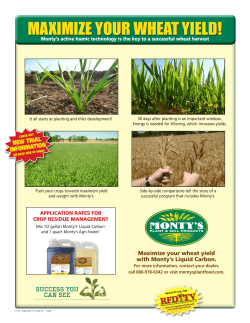 maximize your wheat yield!