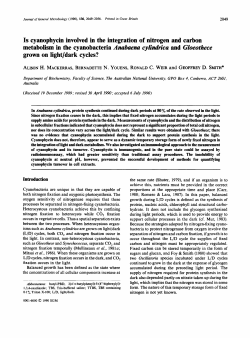 Is cyanophycin involved in the integration of nitrogen and carbon