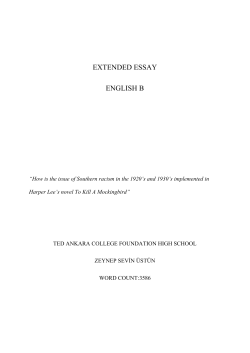 extended essay english b