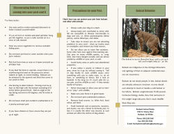 Discouraging Bobcats from coming into your yard cont`d Precautions