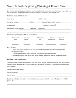 Market sheep planning sheet and growth chart