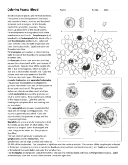 Blood Structure Coloring Pages