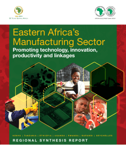 Eastern Africa`s Manufacturing Sector