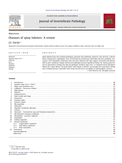 Diseases of spiny lobsters: A review