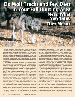 Do Wolf Tracks and Few Deer In Your Fall Hunting