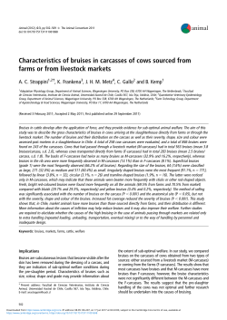 Characteristics of bruises in carcasses of cows sourced from farms